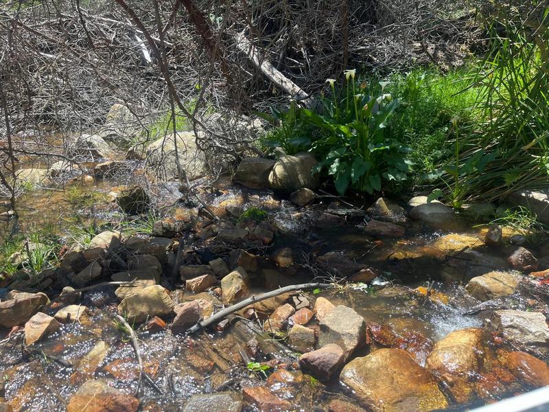 0 Bedroom Property for Sale in George Rural Western Cape